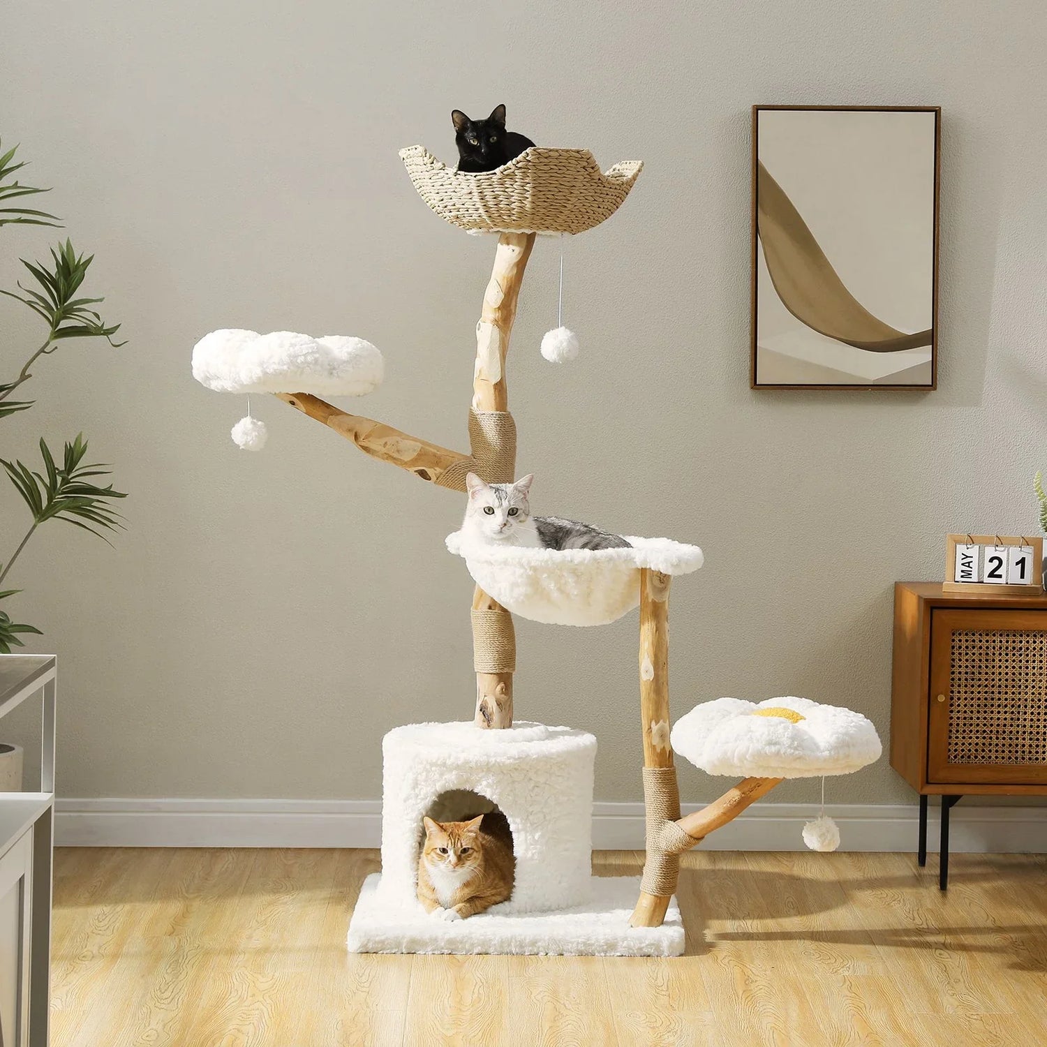 Cat Tree's